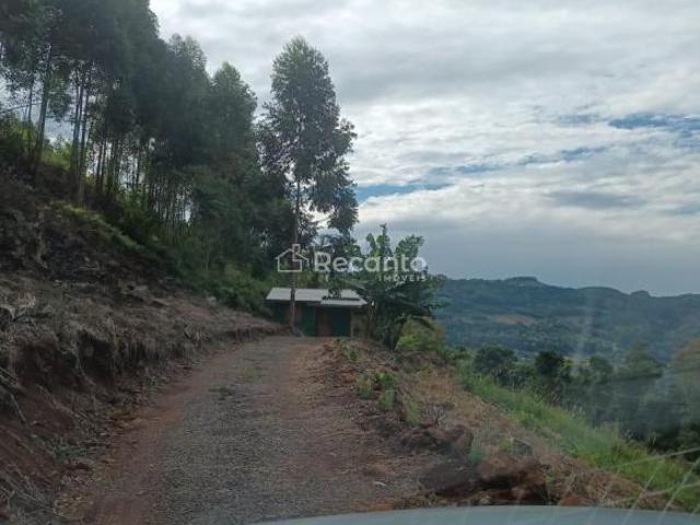 Sítio e chácara venda em Morro Reuter