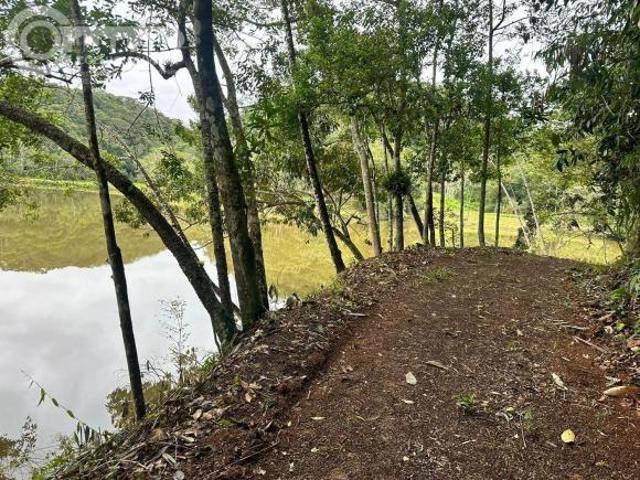 Sítio e chácara venda em Sete Barras