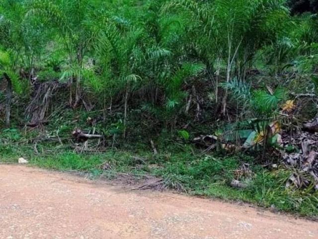 Sítio e chácara venda em Região Imediata de Registro, Sete Barras