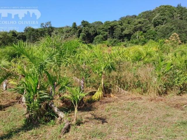 Sítio e chácara venda em Sete Barras