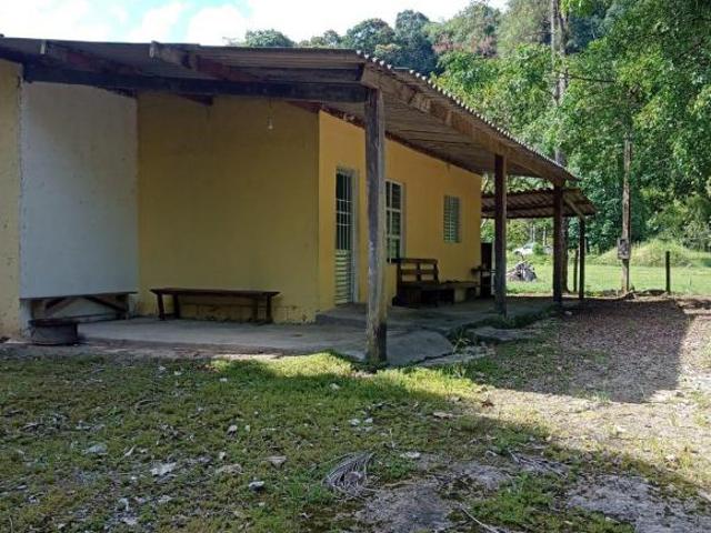 Sítio e chácara venda em Sete Barras, Região Geográfica Intermediária de Sorocaba