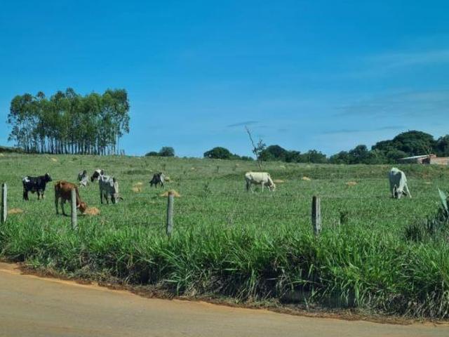 Sítio e chácara venda em Região Geográfica Imediata do Distrito Federal, Região Integrada de Desenvolvimento do Distrito Federal e Entorno