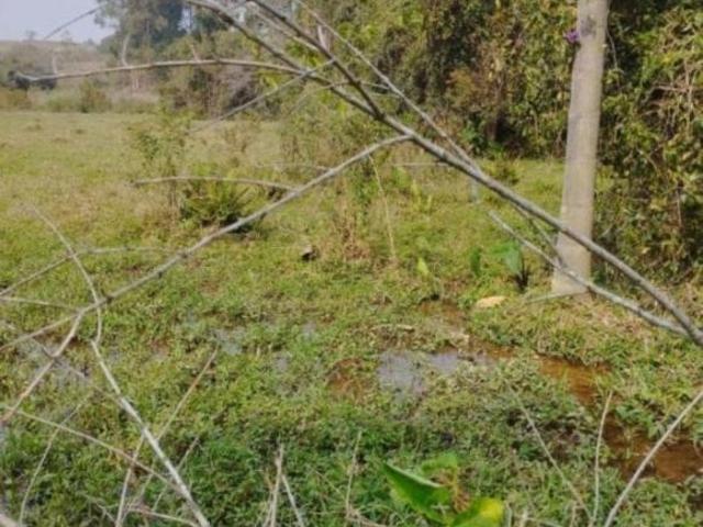 Sítio e chácara venda em Região Imediata de Tatuí, Região Metropolitana de Sorocaba