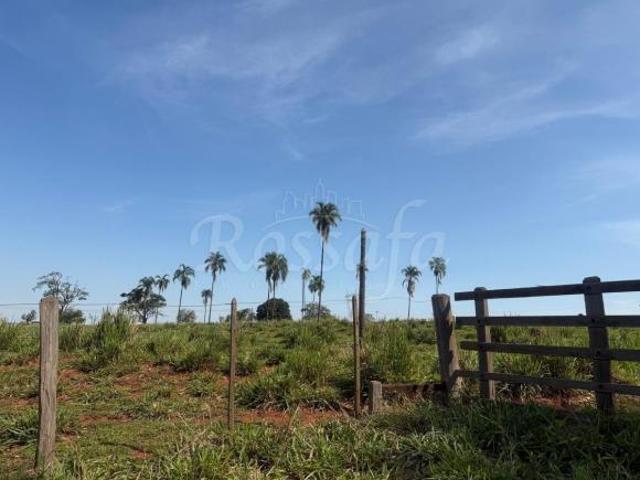Sítio e chácara venda em Três Fronteiras, Região Geográfica Intermediária de São José do Rio Preto