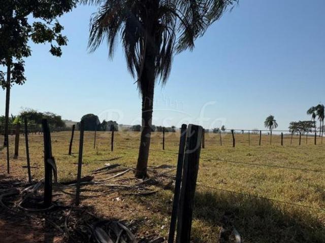 Sítio e chácara venda em Região Imediata de Santa Fé do Sul, Três Fronteiras