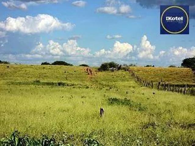 Sítio e chácara venda em Região Geográfica Imediata de Charqueadas - Triunfo - São Jerônimo, Região Metropolitana de Porto Alegre