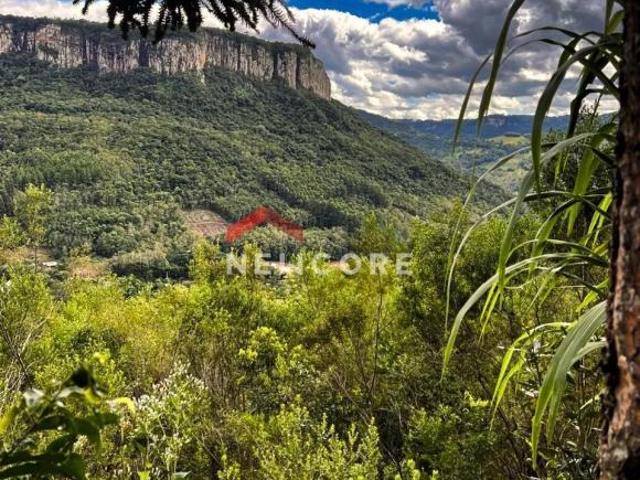 Sítio e chácara venda em Região Geográfica Imediata de Caxias do Sul, Caxias do Sul