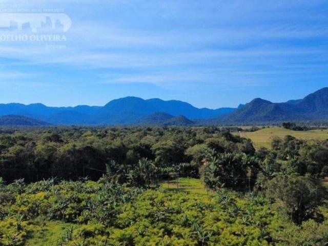 Sítio e chácara venda em Região Geográfica Imediata de Guarapuava, Goioxim