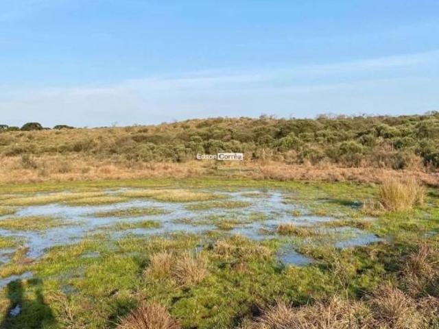 Sítio e chácara venda em Condomínio José Bonifácio, São Francisco de Paula