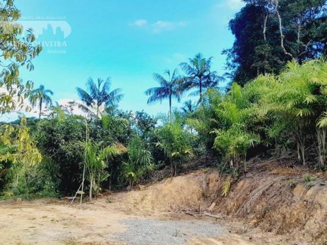 Sítio e chácara venda em Sete Barras