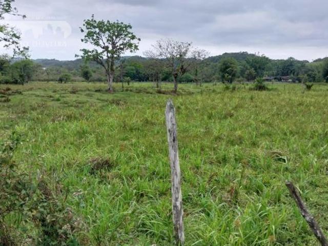 Sítio e chácara venda em Região Imediata de Registro, Sete Barras