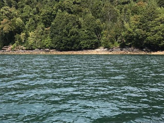 Sitio en Venta en Canal Cay lote 29