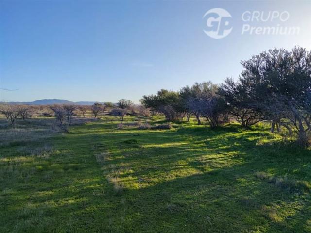 Casa en venta en Cauquenes, Maule