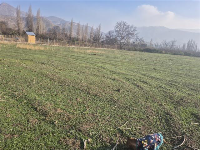 Sitio en Venta en Carretera San Martin