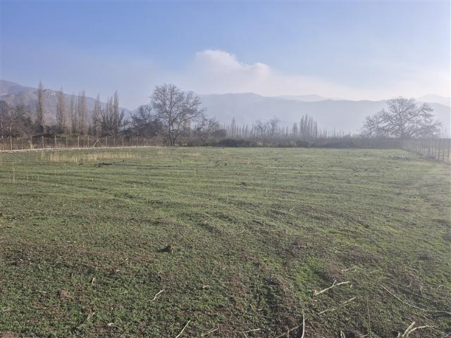 Sitio en Venta en Carretera San Martin