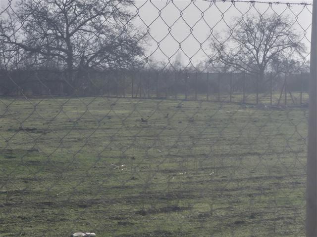 Sitio en Venta en Carretera San Martin
