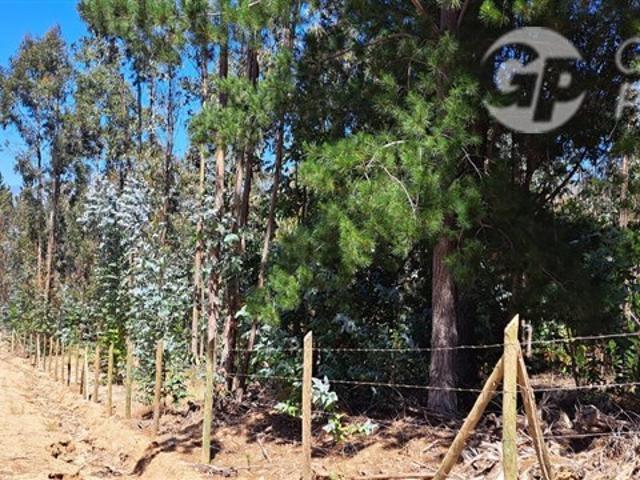 Casa en venta en Vichuquén, Maule