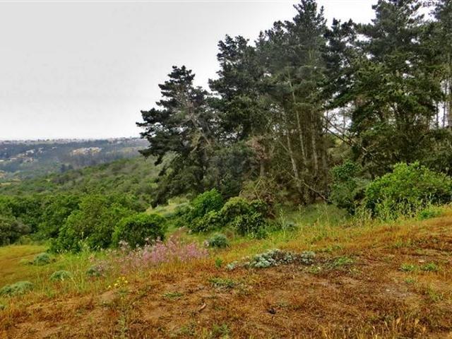 Sitio en Venta en Hijuela Santa Raquel de LLolleo