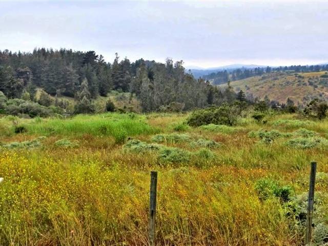 Sitio en Venta en Hijuela Santa Raquel de LLolleo