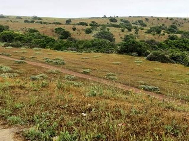 Sitio en Venta en Hijuela Santa Raquel de LLolleo