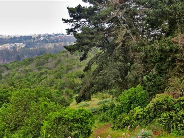 Sitio en Venta en Hijuela Santa Raquel de LLolleo