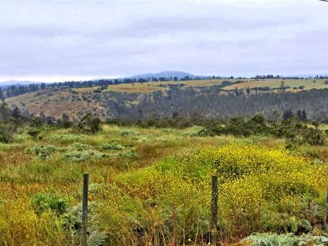 Sitio en Venta en Hijuela Santa Raquel de LLolleo