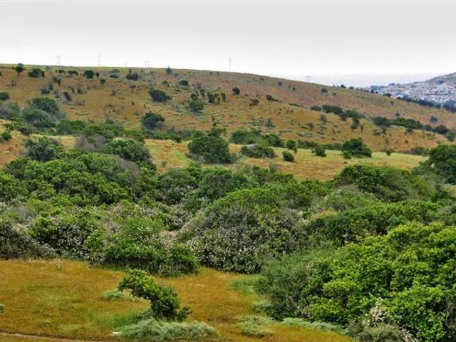 Sitio en Venta en Hijuela Santa Raquel de LLolleo