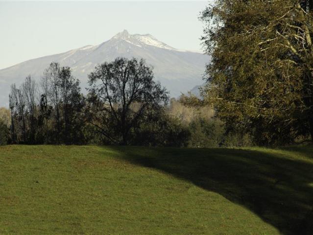 Sitio en Venta en HUELLAHUE/PANGUIPULLI/ PARCELAS PLANAS 5.000 M2