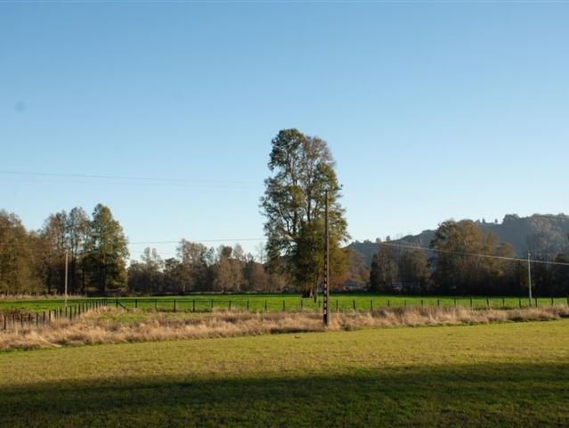 Sitio en Venta en HUELLAHUE/PANGUIPULLI/ PARCELAS PLANAS 5.000 M2