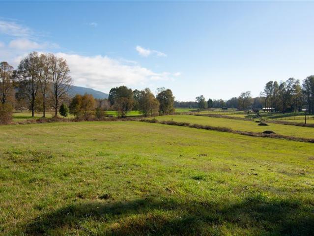 Sitio en Venta en HUELLAHUE/PANGUIPULLI/ PARCELAS PLANAS 5.000 M2