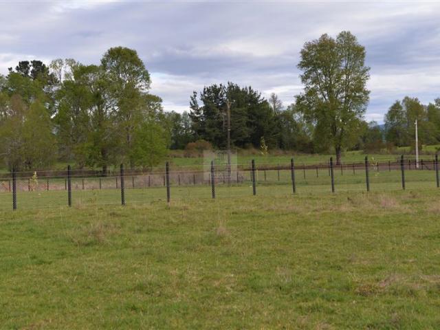 Sitio en Venta en HUELLAHUE/PANGUIPULLI/ PARCELAS PLANAS 5.000 M2