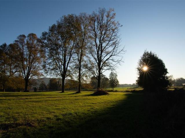 Sitio en Venta en HUELLAHUE/PANGUIPULLI/ PARCELAS PLANAS 5.000 M2