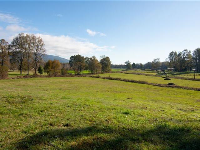 Sitio en Venta en HUELLAHUE/PANGUIPULLI/ PARCELAS PLANAS 5.000 M2