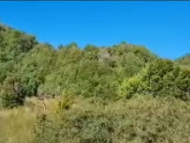 Casa en venta en Quellón, Los Lagos