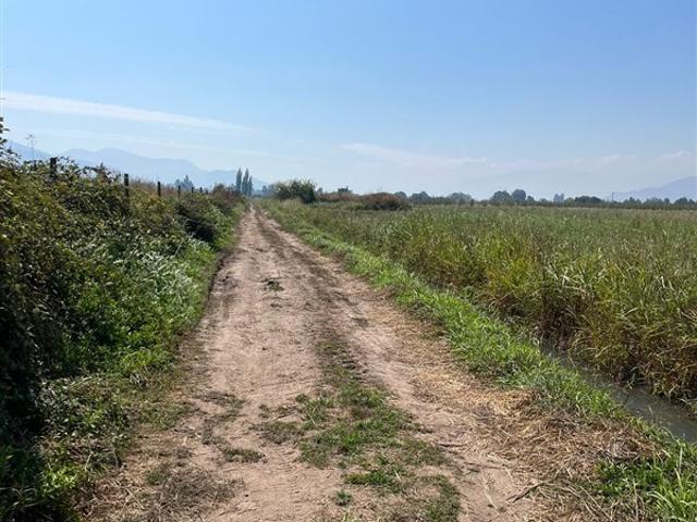 Sitio en Venta en LA MEJOR OPCION DE COMPRA TERRENO AGRICOLA EN PLACILLA