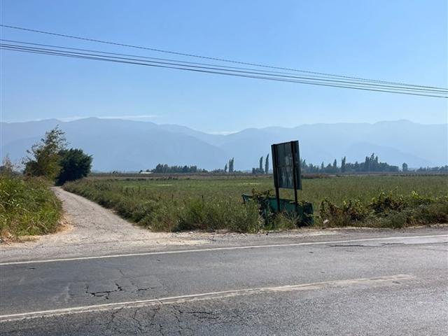 Sitio en Venta en LA MEJOR OPCION DE COMPRA TERRENO AGRICOLA EN PLACILLA