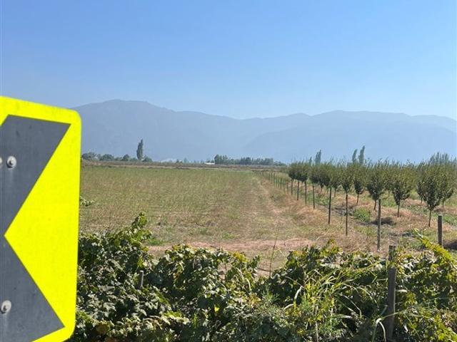 Sitio en Venta en LA MEJOR OPCION DE COMPRA TERRENO AGRICOLA EN PLACILLA