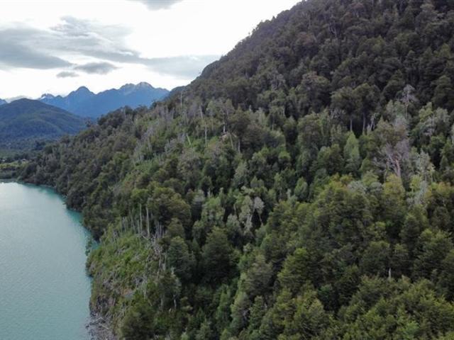 Sitio en Venta en Lago Verde / Patagonia