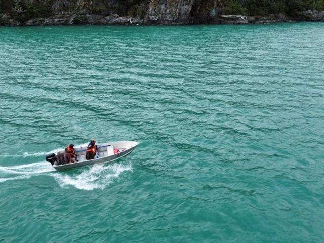 Sitio en Venta en Lago Verde / Patagonia