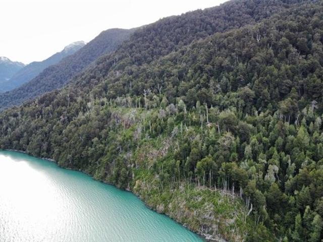 Sitio en Venta en Lago Verde / Patagonia