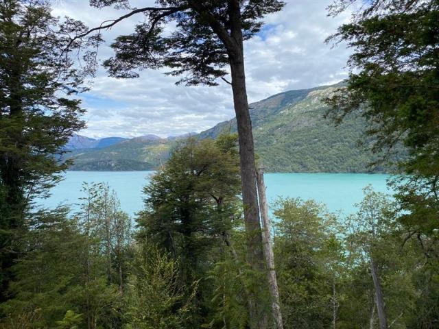 Sitio en Venta en Lago Verde / Patagonia
