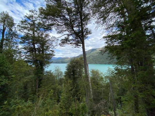 Sitio en Venta en Lago Verde / Patagonia