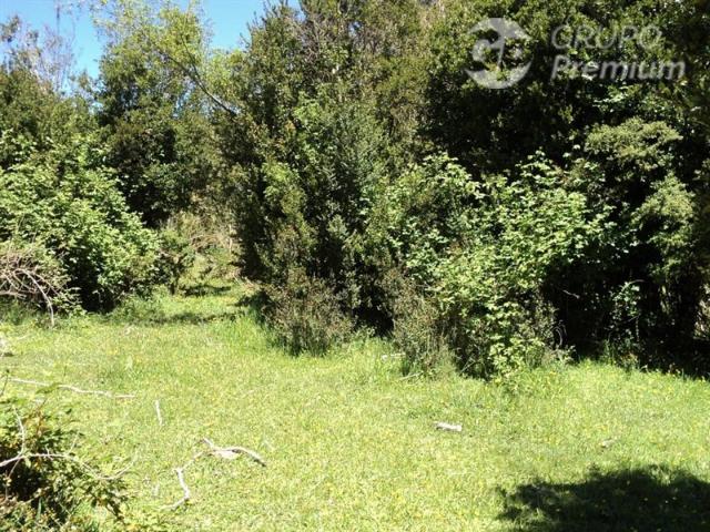 Casa en venta en Río Bueno, Los Ríos