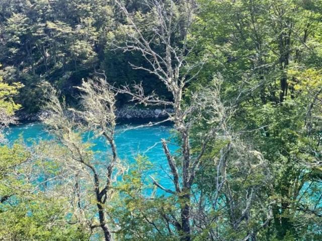 Sitio en Venta en Rio Baker El Manzano