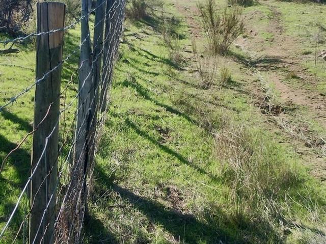Sitio en Venta en Vendo 2 Hectareas Camino Las Golodrinas/Estero Loica/Camino Rapel