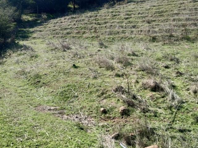 Sitio en Venta en Vendo 2 Hectareas Camino Las Golodrinas/Estero Loica/Camino Rapel