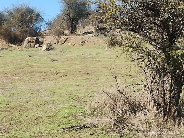 Sitio en Venta en Vendo 2 Hectareas Camino Las Golodrinas/Estero Loica/Camino Rapel