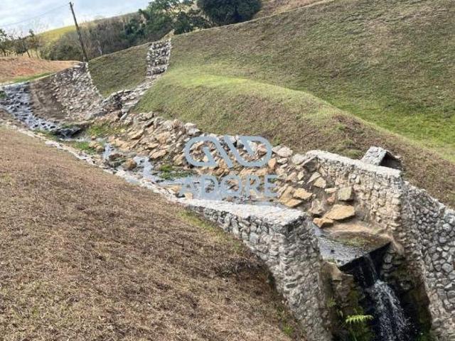 Sítio e chácara venda em Região Imediata de São João da Boa Vista, Espírito Santo do Pinhal