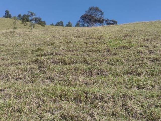 Sítio e chácara venda em Região Imediata de São Paulo, Região Metropolitana de São Paulo