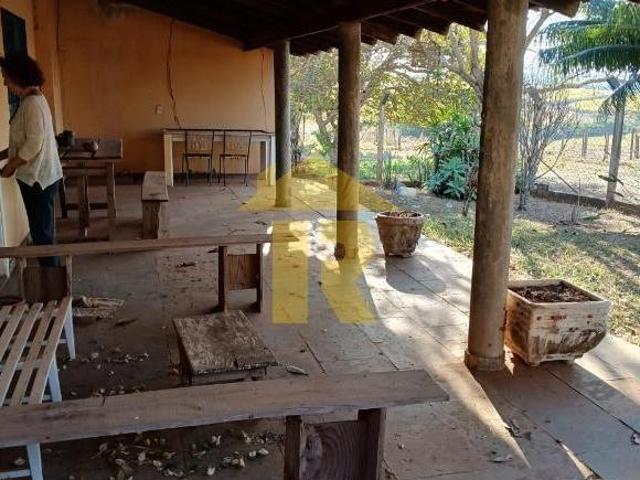 Sítio e chácara venda em Região Imediata de São José do Rio Preto, Região Metropolitana de São José do Rio Preto